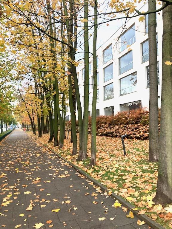 Apartment Novum Rakowicka Street Krakau Exterior foto